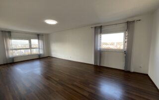 66D6D865-6E62-4CD1-B20D-5507C30F7401